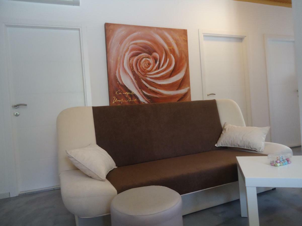 Apartament Ines Novi Vinodolski Zewnętrze zdjęcie